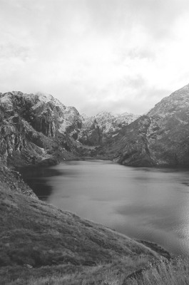 new zealand